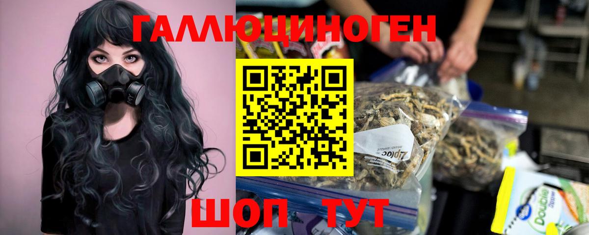 Тосно  Псилоцибиновые грибы прущие грибы  закладка  Вход с VPN 